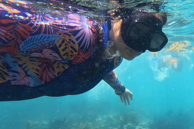 1.5 hours Snorkeling at Tulum's paradise reef - Ruins Stop: A Mayan Photo Moment Without the Crowd Push