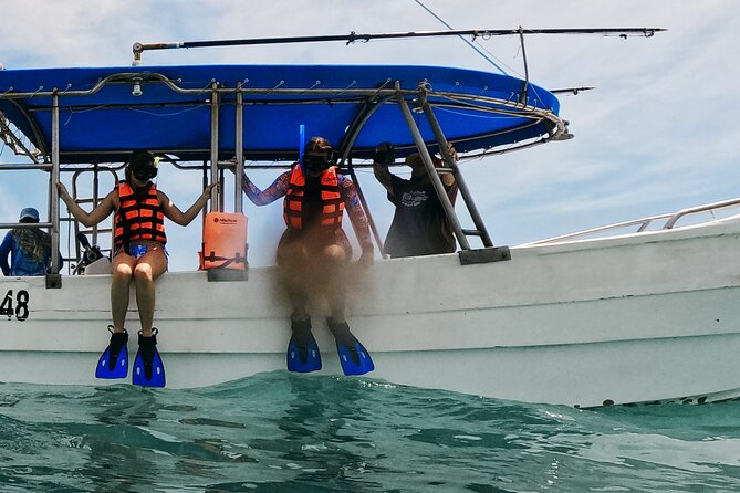 1.5 hours Snorkeling at Tulum's paradise reef - Who This Tour Fits Best