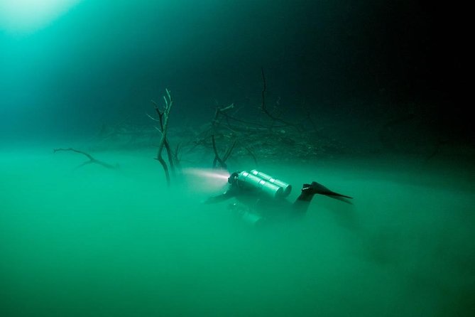2 cenote divings (including one deep diving) for advanced divers in Tulum - Stop 1 and your route control: small-group timing matters