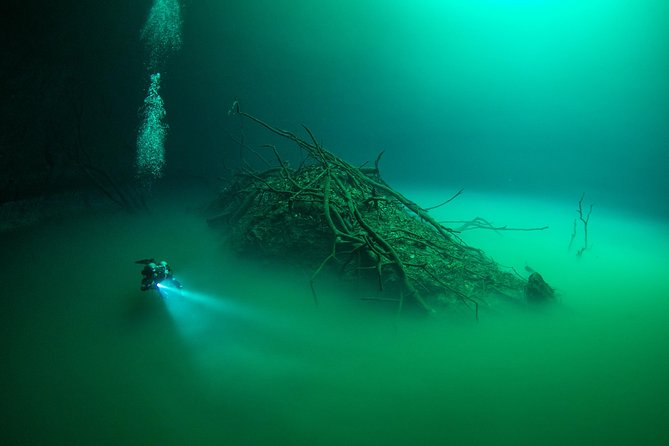 2 cenote divings (including one deep diving) for advanced divers in Tulum - Pit cenote: the 25-meter sulfur cloud, halocline, and sun rays
