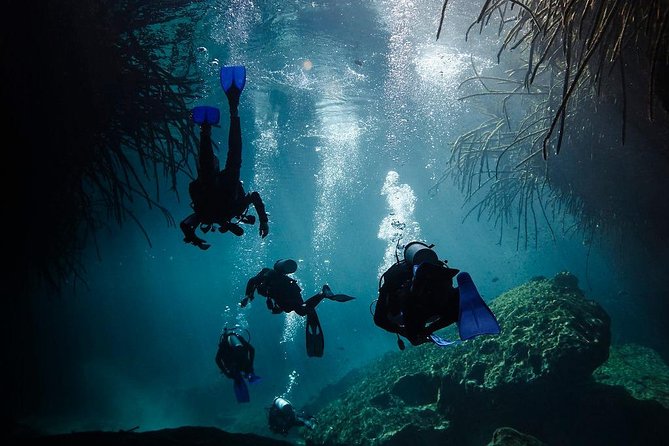 2 cenote divings (including one deep diving) for advanced divers in Tulum - Scuba gear and the briefing you should expect to hear