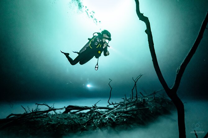 2 cenote divings (including one deep diving) for advanced divers in Tulum - The 8:00am meeting spot at Calle Sagitario Pte. 872