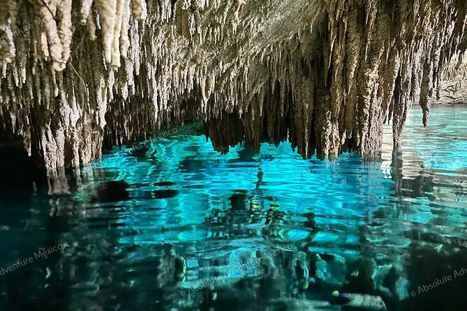 2 Cenotes Private Tour – VIP Adventure with Expert Guide - Cenote Nicte-ha: snorkeling your way into the Cenote Game