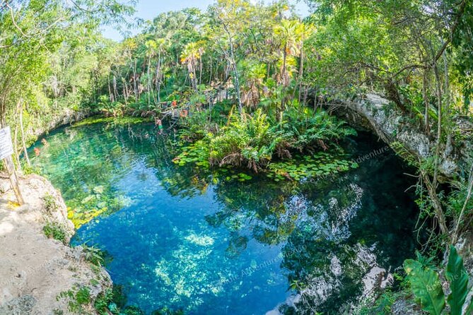 2 Cenotes Private Tour – VIP Adventure with Expert Guide - Dos Ojos Park lunch: refuel the right way, then roll out