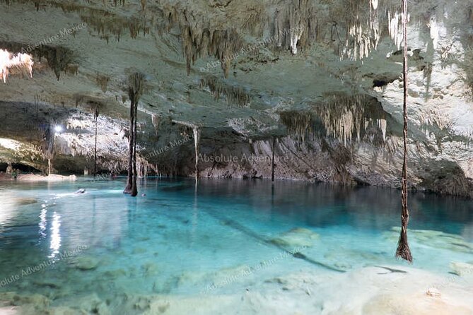2 Cenotes Private Tour – VIP Adventure with Expert Guide - What you’re really paying for: $185 in context