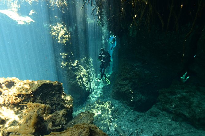 2 dives in Cenote Dos ojos Certified Divers - The real appeal: two cenotes with different vibes