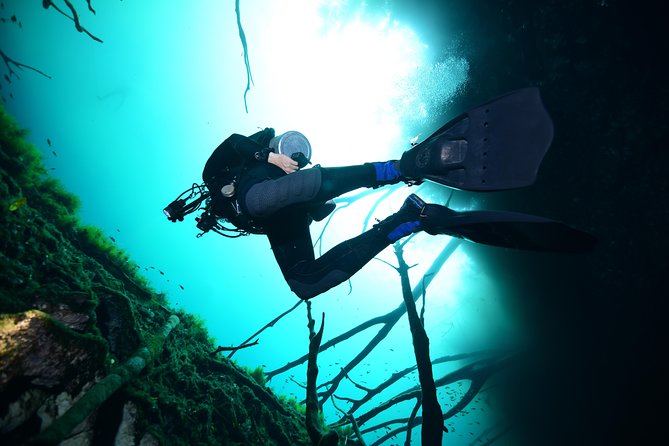 2 dives in Cenote Dos ojos Certified Divers - Second cenote choice: Casa Cenote or Gran Cenote based on fit