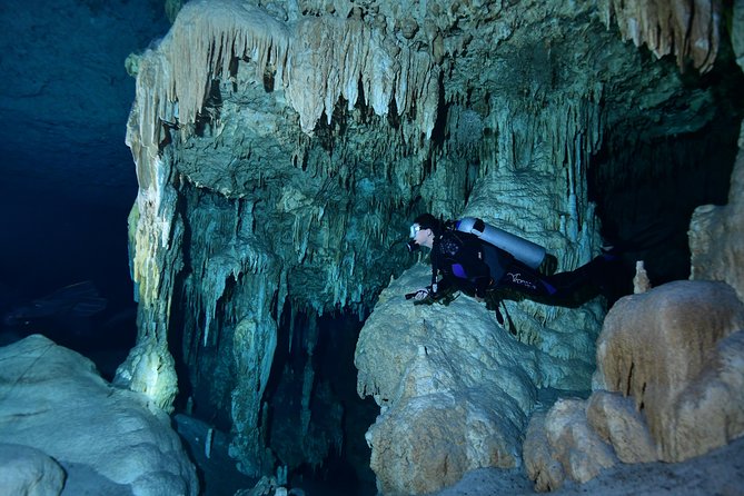 2 dives in Cenote Dos ojos Certified Divers - Guides and safety: why patient coaching matters