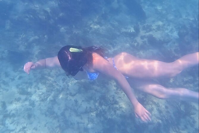 2-Hour Snorkeling in Two Spots of Tulum's Reef - The guides: how the experience stays fun and safe