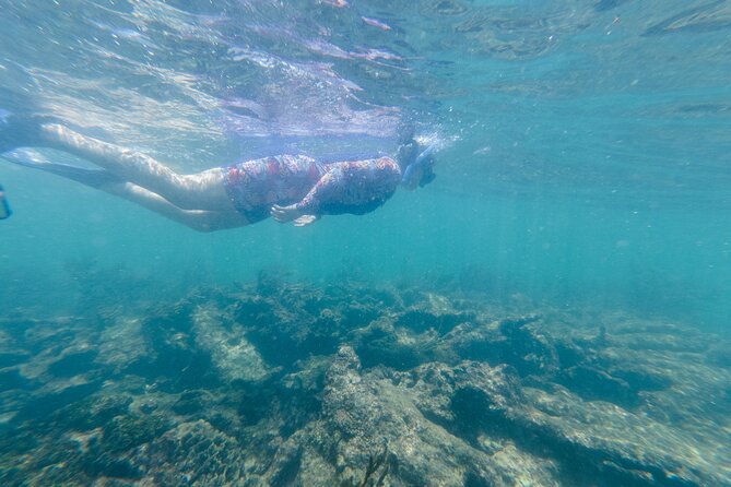 2-Hour Snorkeling in Two Spots of Tulum's Reef - What to expect on the water: small boats and real conditions