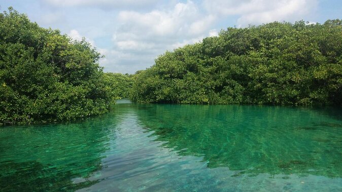 2 tanks Cenote Diving Adventure in Tulum for Certified Divers - Key Highlights You’ll Feel on Day One