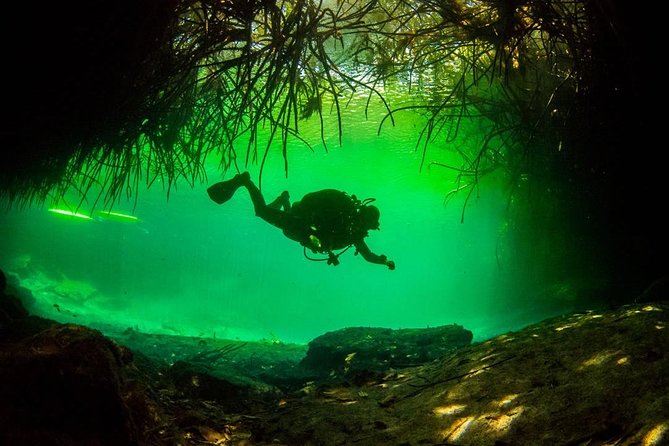 2 tanks Cenote Diving Adventure in Tulum for Certified Divers - Why This Small-Group Plan Works in Tulum