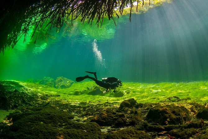 2 tanks Cenote Diving Adventure in Tulum for Certified Divers - Stop 2: Dos Ojos Cavern Route With Light, Bats, and Limestone Walls