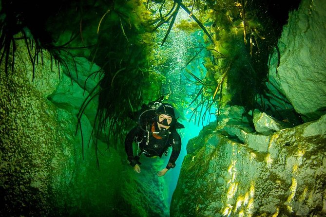 2 tanks Cenote Diving Adventure in Tulum for Certified Divers - What You’re Really Seeing: Prehistoric Rock, Fossils, and the Cenote Light Show