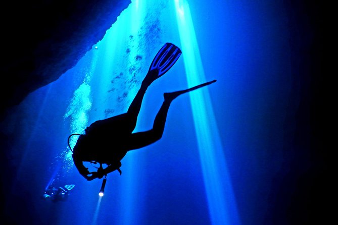 2 tanks Cenote Diving Adventure in Tulum for Certified Divers - Price and Value: What $200 Covers (and Why It Matters)