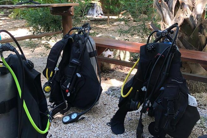 2 tanks Cenote Diving Adventure in Tulum for Certified Divers - Who This Tulum Two-Tank Cenote Morning Fits Best