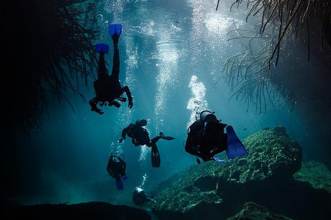 2 tanks Cenote Diving Adventure in Tulum for Certified Divers - Practical Tips for a Smoother Day in Tulum Cenotes