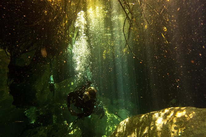 3 Cenote Dives - Casa & Dos Ojos - Transportation and meeting logistics: easy if you’re nearby