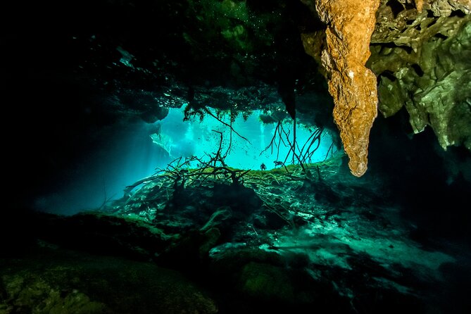 3 Cenote Dives - Casa & Dos Ojos - Who this is best for (and who should think twice)