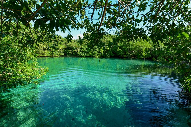 3 Cenote Dives - Casa & Dos Ojos - Should you book the 3-cenote Casa & Dos Ojos day?