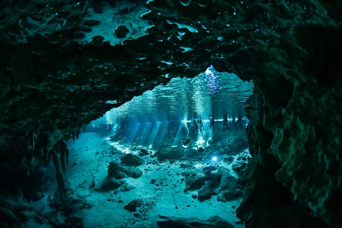 3 Cenote Dives - Casa & Dos Ojos - Dos Ojos twice: how two sessions can feel like more than “repeat”