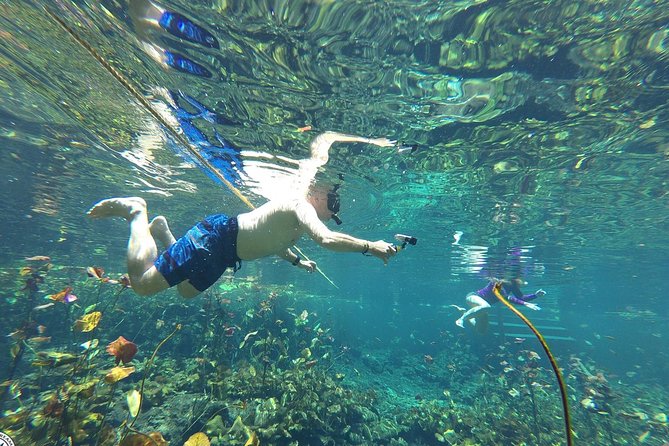 4 Private Cenotes, Zip-Lines, Canoes & Mayan Village with Delicious Lunch - Mayan village lunch: where the day turns human and local