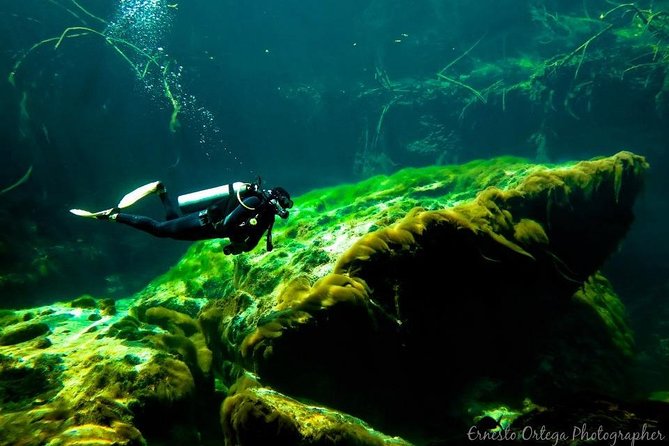 Amazing beginner dive in Tulum cenote (or refresher dive) - Shallow-water skills first: how the training reduces panic