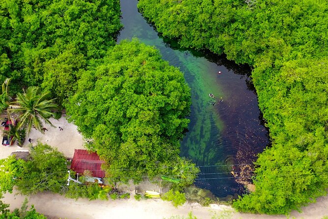 Amazing beginner dive in Tulum cenote (or refresher dive) - Why the max-four group size feels like safety, not just a perk