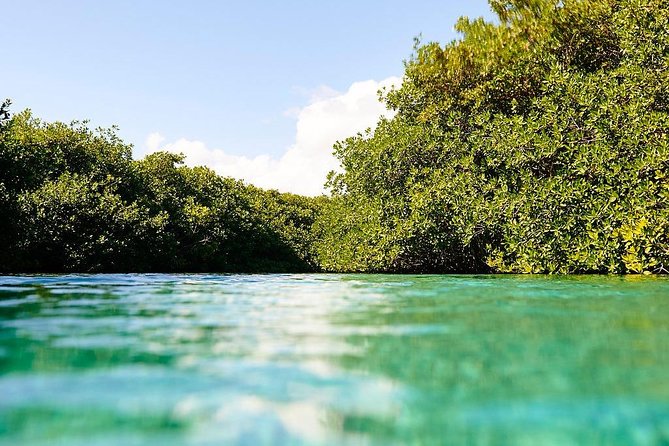 Amazing beginner dive in Tulum cenote (or refresher dive) - Included gear, entrances, transport, and the real value of the $140 price