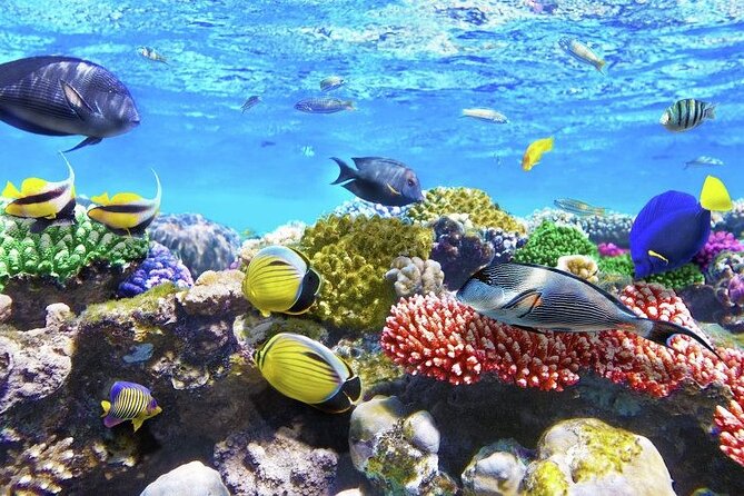 Aquatic Paradise in Tulum: Snorkel Yalku, Swim Cenote & Kaan Luum - Cenotes Labnaha & Eco Park: second stop swim with natural variety