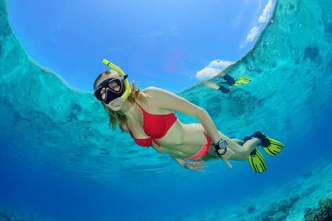 Aquatic Paradise in Tulum: Snorkel Yalku, Swim Cenote & Kaan Luum - Should you book Aquatic Paradise in Tulum?