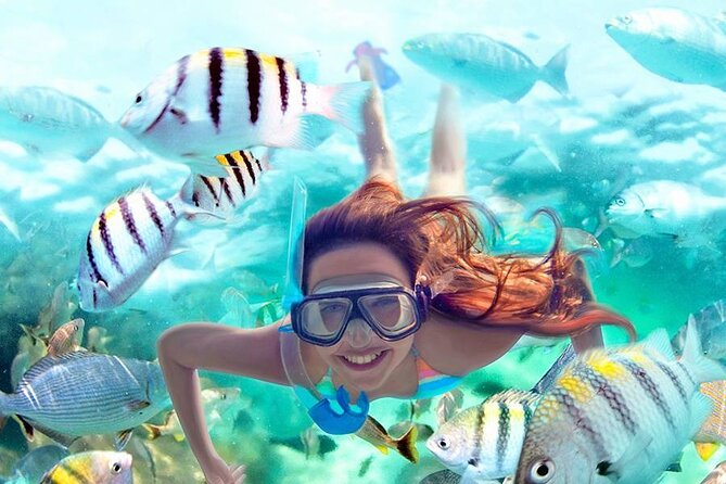 Aquatic Paradise in Tulum: Snorkel Yalku, Swim Cenote & Kaan Luum - Pickup and getting to the water without losing your morning