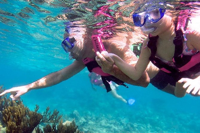 Awesome Tour Day at Xcaret Plus + Transportation from Riviera Maya - Transportation From Riviera Maya: The Part That Can Make or Break the Day