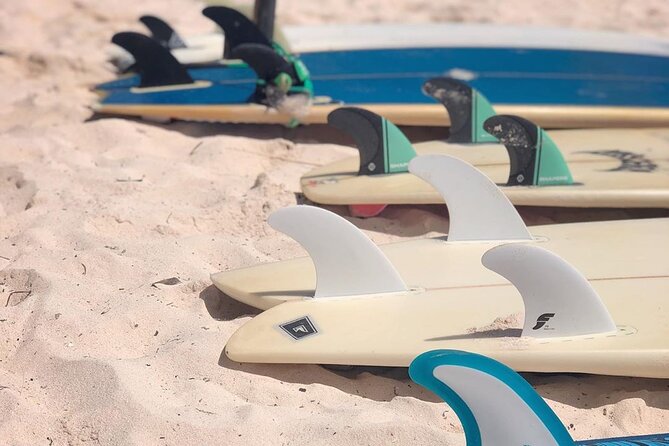 Basic Surf Lessons in Tulum - Who should book this surf lesson in Tulum (and who might skip it)