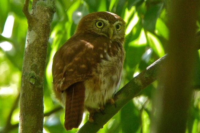Bird Watching in Sian Ka´an Muyil - Sian Ka’an Biosphere Reserve: The Lagoon Float Upgrade ($75)
