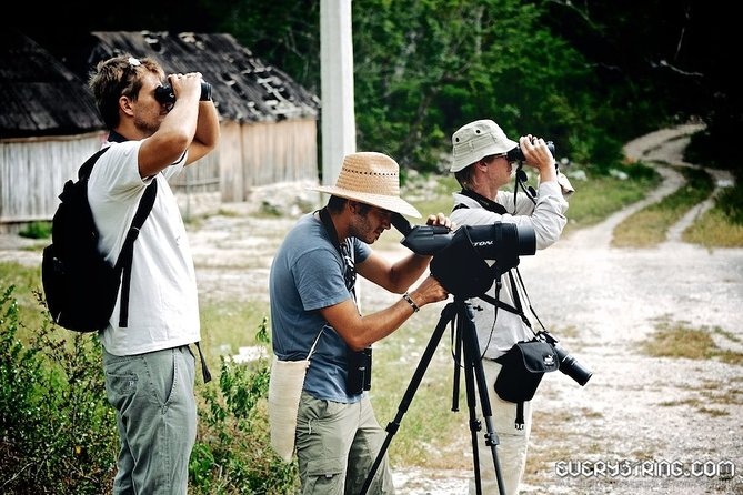 Bird Watching in Sian Ka´an Muyil - What You Get for $119 (and What Costs Extra)