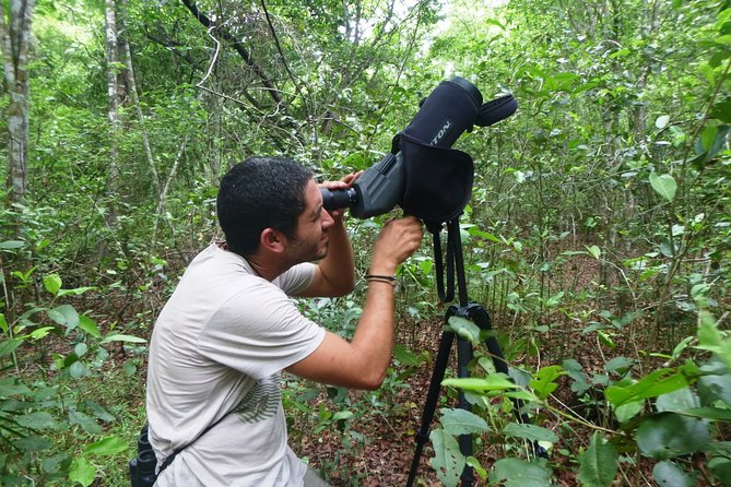 Bird Watching in Sian Ka´an Muyil - Inside the Muyil Archaeological Site: Species + Trading-Post Stories