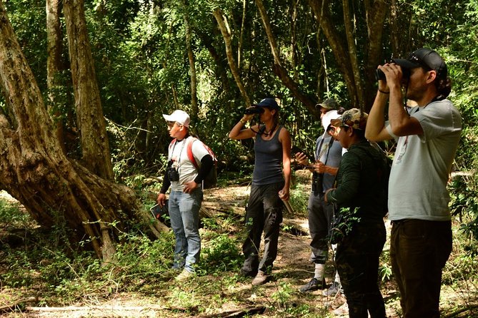 Birdwatching in Coba from Tulum - Shared Group Tour - Stop 4 in Coba: brunch finish and the Mayan family food piece