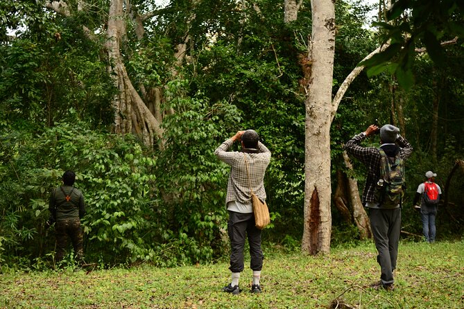 Birdwatching in Coba from Tulum - Shared Group Tour - Small group, smooth transfer, and a guide who sets the tone