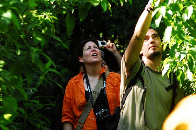 Birdwatching in Sian Ka´an Muyil from Tulum - Shared Group Tour - Lake Chunyaxché: optional wetland birds plus the clear-water float
