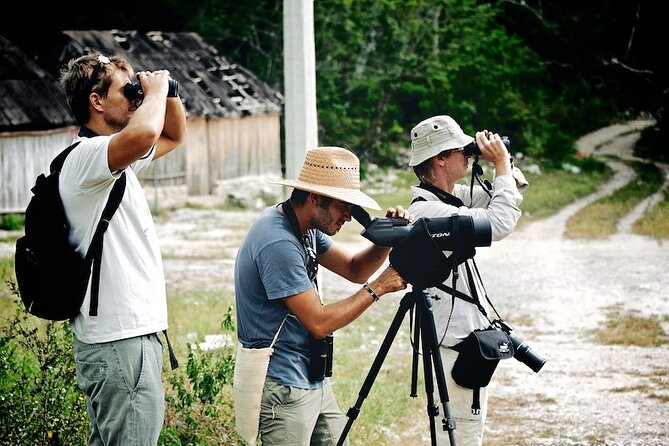 Birdwatching in Sian Ka´an Muyil from Tulum - Shared Group Tour - Muyil Mayan village birding: where the sightings start fast