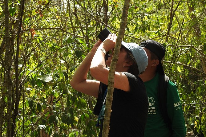 Birdwatching Sian Ka'an Biosphere Reserve - Getting there: meeting point, transport options, and timing
