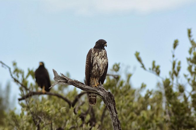 Birdwatching Sian Ka'an Biosphere Reserve - What your local guide adds (and why small groups matter)