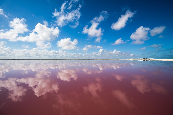 Cancun tour Las Coloradas Pink Lagoon + Rio Lagartos Tour - Timing, groups, and the day-of reality check