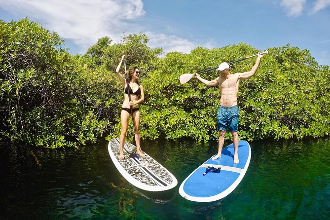 Cenote Paddleboarding and Snorkeling in Tulum - Lunch tacos in Tulum Town style: included and actually good