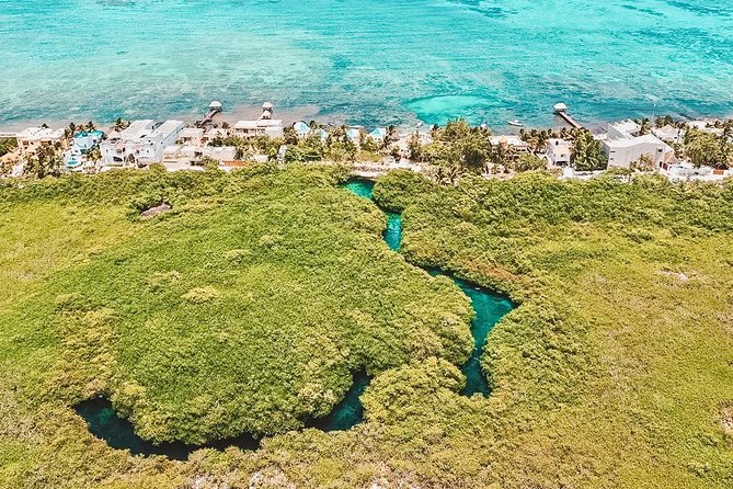 Cenote Paddleboarding and Snorkeling in Tulum - Group size and timing: why this feels more personal