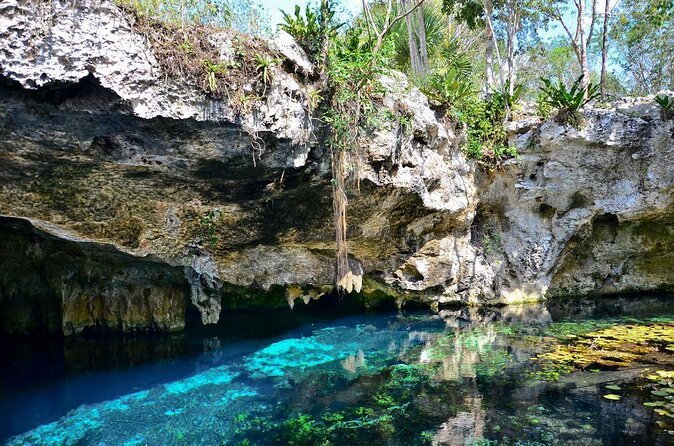 Cenote Triple Adventure Tour in Tulum - Key things I’d prioritize before you book