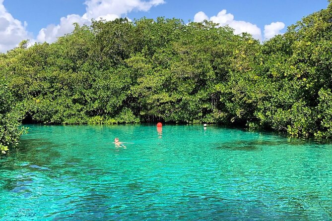Cenote Triple Adventure Tour in Tulum - Stop 2: Grand Cenote’s half-open cave light and snorkeling time