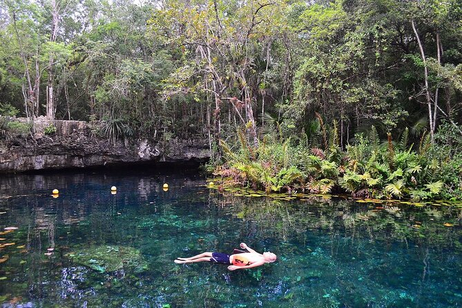 Cenote Triple Adventure Tour in Tulum - Stop 3: Casa Cenote jungle swim with soft sand and mangroves