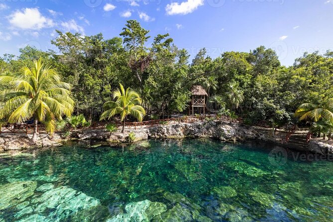 Cenotes Casa Tortuga: 4 Cenotes Day Pass - Key Highlights You Should Know Before You Go